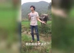 国产午夜福利视频在线,揭秘国内私密娱乐产业现状