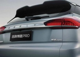 国产1级,引领科技潮流，铸就民族品牌辉煌