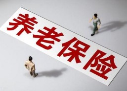 国产做a爰片久久毛片,探索“久久毛片”背后的故事与魅力