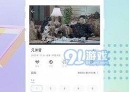 91精品国产免费,探索国产影视的璀璨星空